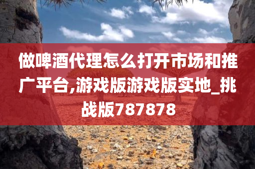 做啤酒代理怎么打开市场和推广平台,游戏版游戏版实地_挑战版787878