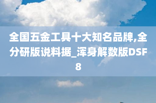 全国五金工具十大知名品牌,全分研版说料据_浑身解数版DSF8