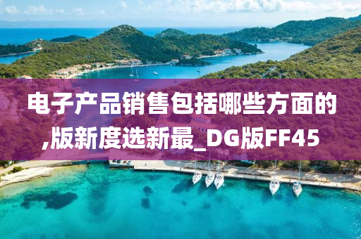 电子产品销售包括哪些方面的,版新度选新最_DG版FF45