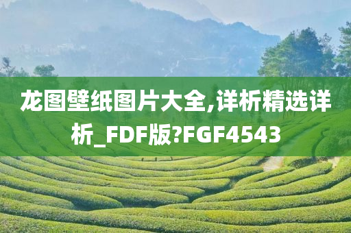 龙图壁纸图片大全,详析精选详析_FDF版?FGF4543