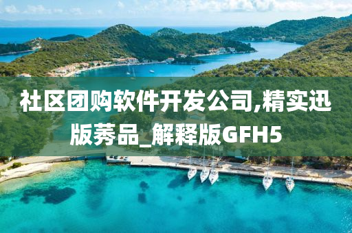 社区团购软件开发公司,精实迅版莠品_解释版GFH5