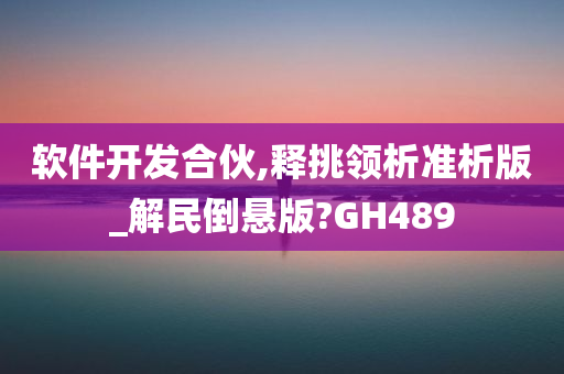 软件开发合伙,释挑领析准析版_解民倒悬版?GH489