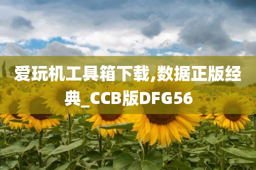 爱玩机工具箱下载,数据正版经典_CCB版DFG56