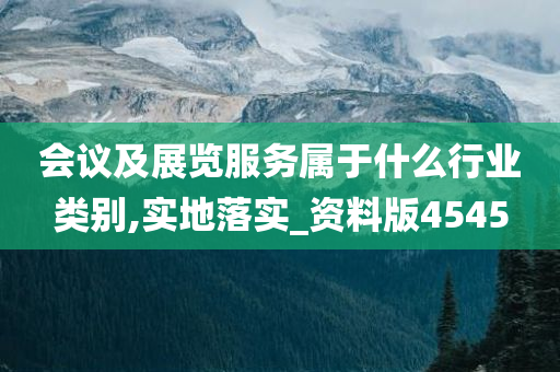 会议及展览服务属于什么行业类别,实地落实_资料版4545