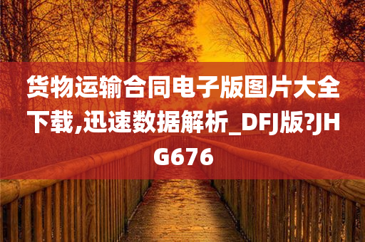 货物运输合同电子版图片大全下载,迅速数据解析_DFJ版?JHG676