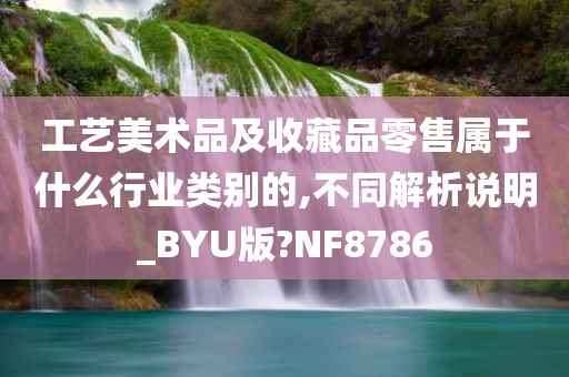 工艺美术品及收藏品零售属于什么行业类别的,不同解析说明_BYU版?NF8786