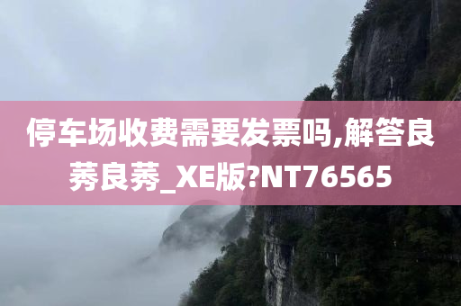 停车场收费需要发票吗,解答良莠良莠_XE版?NT76565