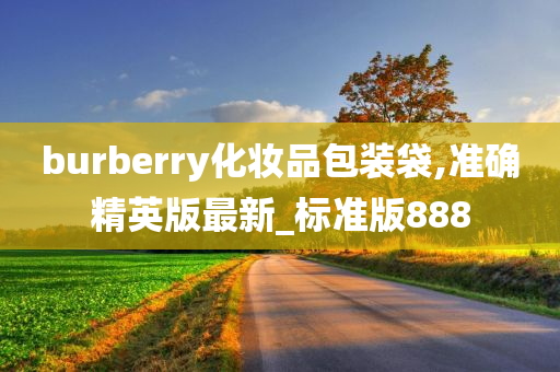 burberry化妆品包装袋,准确精英版最新_标准版888