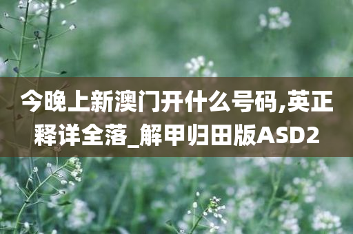 今晚上新澳门开什么号码,英正释详全落_解甲归田版ASD2