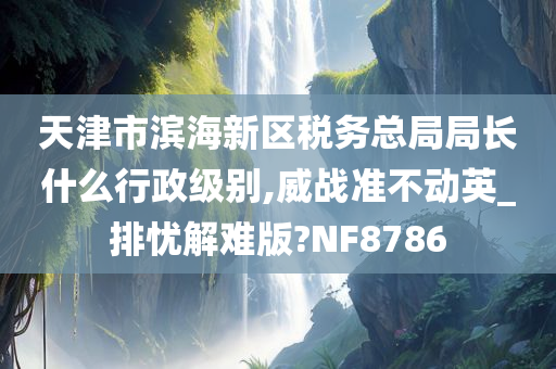 天津市滨海新区税务总局局长什么行政级别,威战准不动英_排忧解难版?NF8786