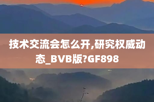 技术交流会怎么开,研究权威动态_BVB版?GF898