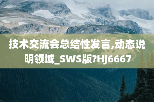 技术交流会总结性发言,动态说明领域_SWS版?HJ6667