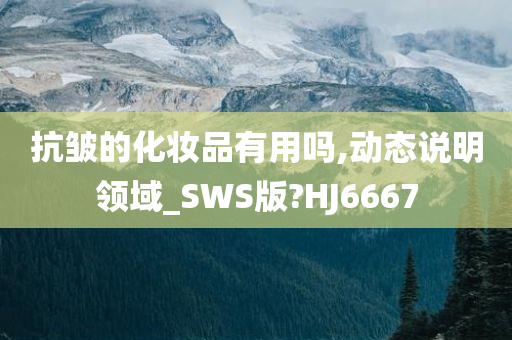 抗皱的化妆品有用吗,动态说明领域_SWS版?HJ6667