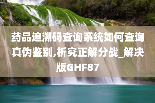 药品追溯码查询系统如何查询真伪鉴别,析究正解分战_解决版GHF87