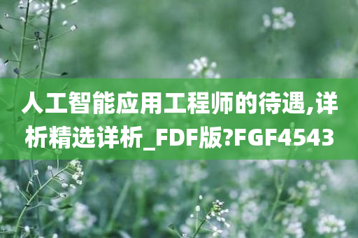 人工智能应用工程师的待遇,详析精选详析_FDF版?FGF4543