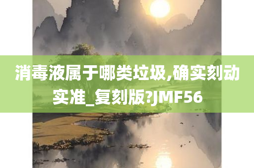 消毒液属于哪类垃圾,确实刻动实准_复刻版?JMF56