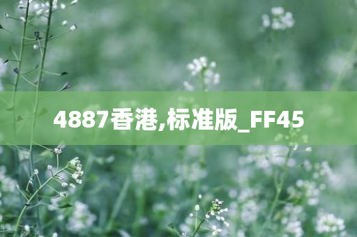 4887香港,标准版_FF45