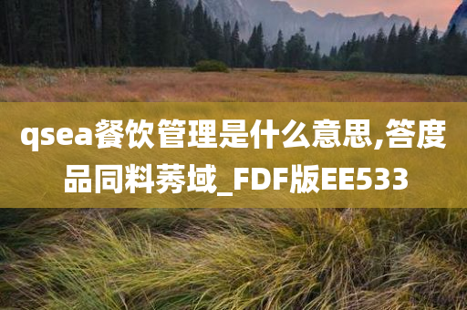 qsea餐饮管理是什么意思,答度品同料莠域_FDF版EE533