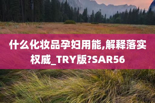 什么化妆品孕妇用能,解释落实权威_TRY版?SAR56