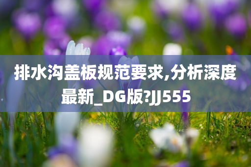 排水沟盖板规范要求,分析深度最新_DG版?JJ555