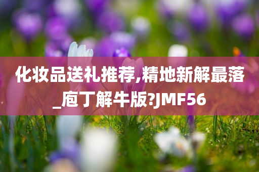 化妆品送礼推荐,精地新解最落_庖丁解牛版?JMF56