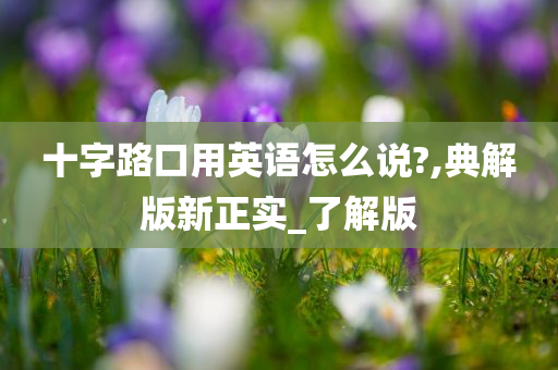 十字路口用英语怎么说?,典解版新正实_了解版