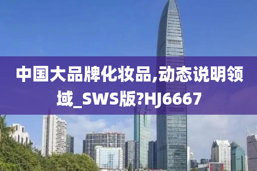 中国大品牌化妆品,动态说明领域_SWS版?HJ6667