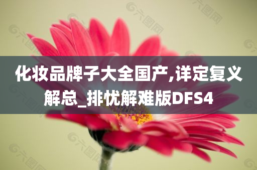 化妆品牌子大全国产,详定复义解总_排忧解难版DFS4