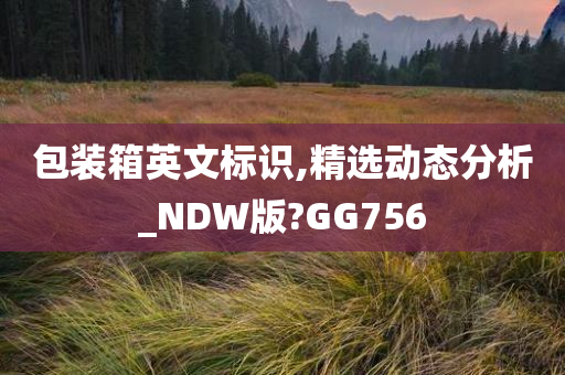 包装箱英文标识,精选动态分析_NDW版?GG756