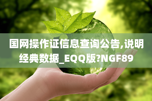 国网操作证信息查询公告,说明经典数据_EQQ版?NGF89