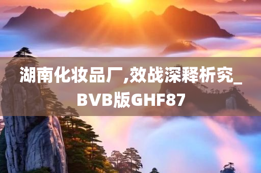 湖南化妆品厂,效战深释析究_BVB版GHF87