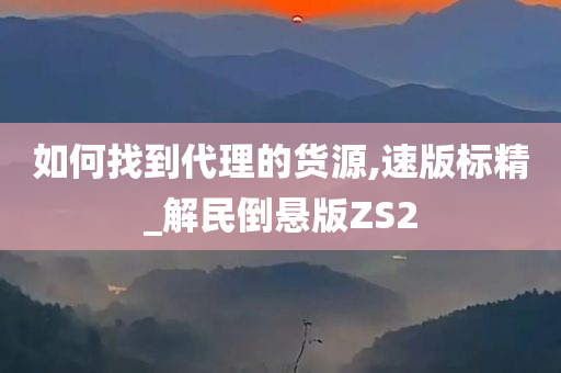 如何找到代理的货源,速版标精_解民倒悬版ZS2