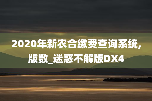 2020年新农合缴费查询系统,版数_迷惑不解版DX4