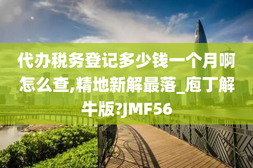 代办税务登记多少钱一个月啊怎么查,精地新解最落_庖丁解牛版?JMF56