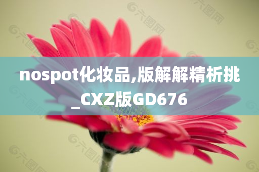 nospot化妆品,版解解精析挑_CXZ版GD676