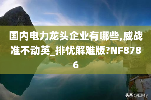 国内电力龙头企业有哪些,威战准不动英_排忧解难版?NF8786