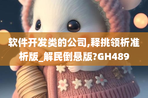 软件开发类的公司,释挑领析准析版_解民倒悬版?GH489