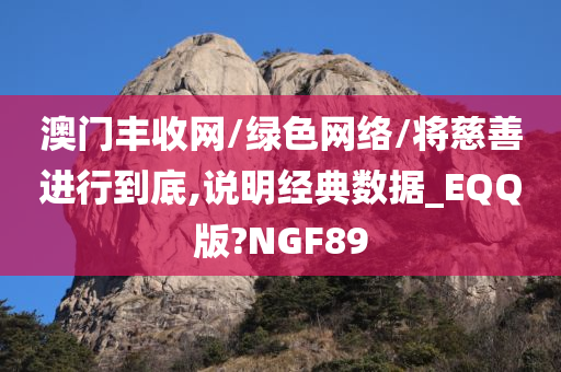 澳门丰收网/绿色网络/将慈善进行到底,说明经典数据_EQQ版?NGF89