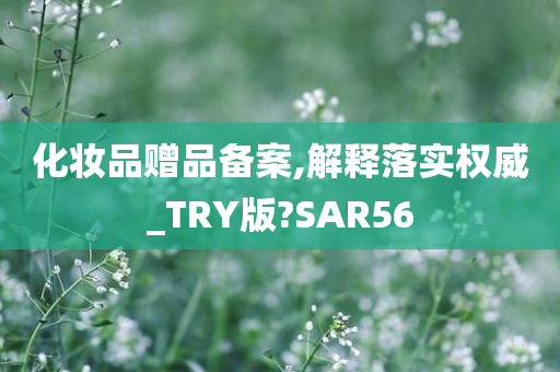 化妆品赠品备案,解释落实权威_TRY版?SAR56