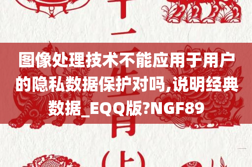 图像处理技术不能应用于用户的隐私数据保护对吗,说明经典数据_EQQ版?NGF89