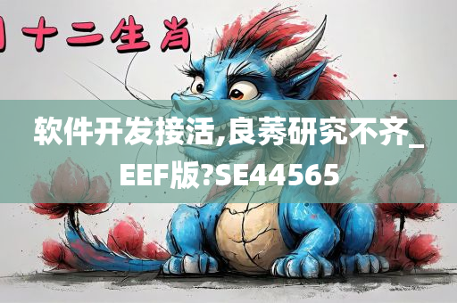 软件开发接活,良莠研究不齐_EEF版?SE44565