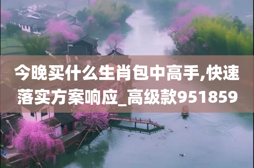 今晚买什么生肖包中高手,快速落实方案响应_高级款951859