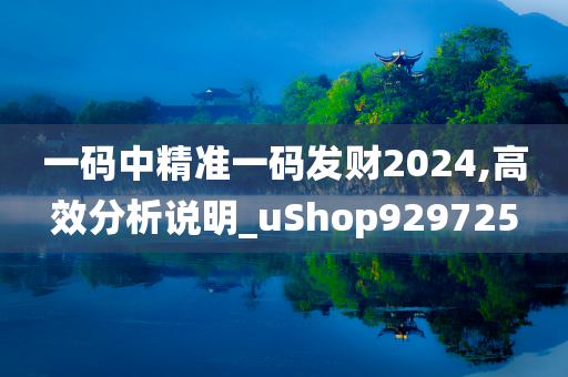 一码中精准一码发财2024,高效分析说明_uShop929725