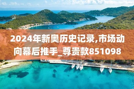 2024年新奥历史记录,市场动向幕后推手_尊贵款851098