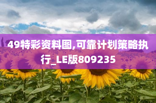 49特彩资料图,可靠计划策略执行_LE版809235