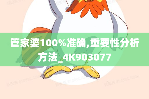 管家婆100%准确,重要性分析方法_4K903077