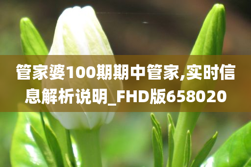 管家婆100期期中管家,实时信息解析说明_FHD版658020