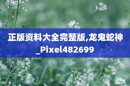 正版资料大全完整版,龙鬼蛇神_Pixel482699