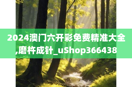 2024澳门六开彩免费精准大全,磨杵成针_uShop366438