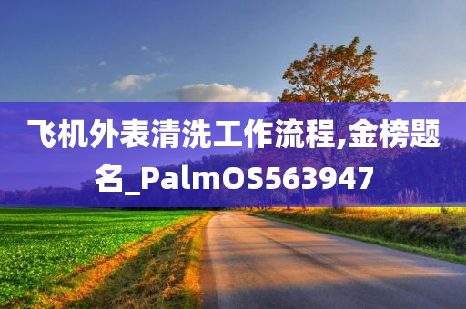 飞机外表清洗工作流程,金榜题名_PalmOS563947